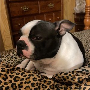 Meet your Posher, Martha